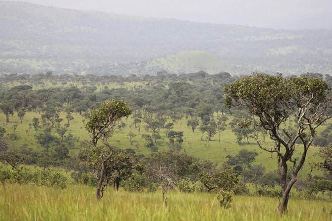 Internet in Bururi - Swiftsat Satellite ISP