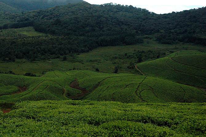 Internet in Kayanza - Swiftsat Satellite ISP