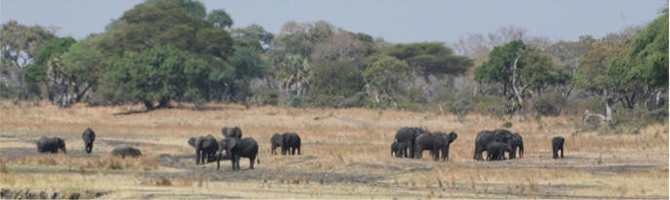 Internet in Rukwa - Swiftsat Satellite ISP