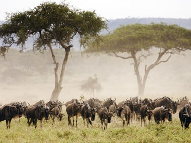 Internet in Rukwa - Swiftsat Satellite ISP