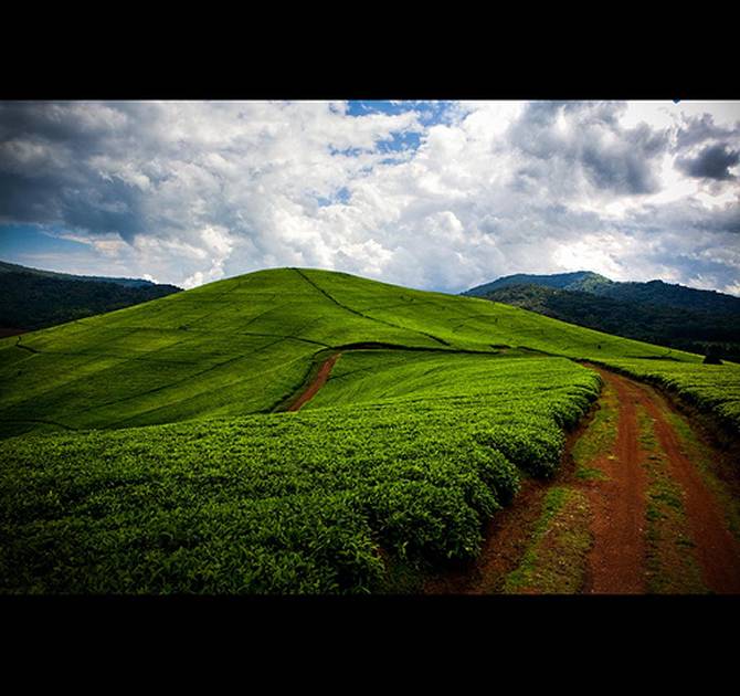 internet in Buhongo - Swiftsat Satellite ISP