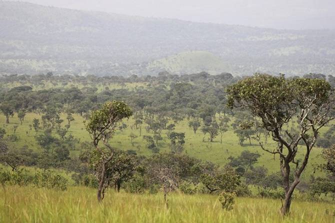 Internet in Bururi - Swiftsat Satellite ISP