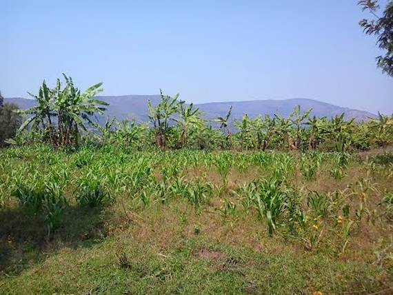 Internet in Kayogoro - Swiftsat Satellite ISP