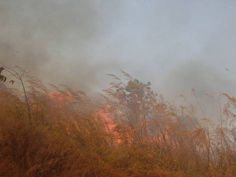 Internet in Kibondo - Swiftsat Satellite ISP